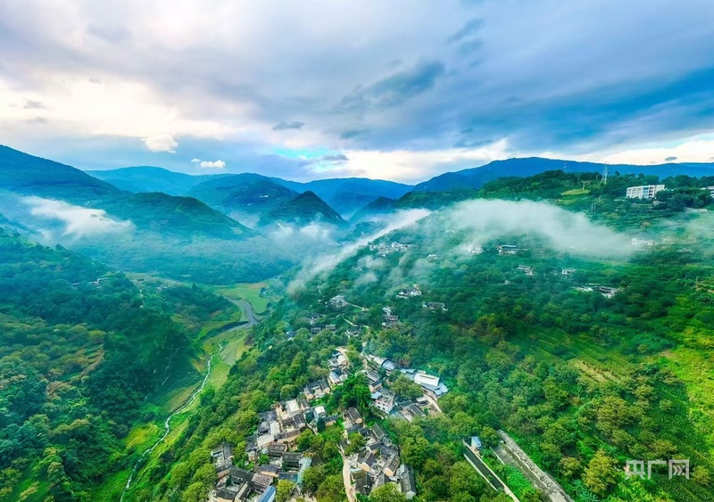 业”新模式 打响“旅居云南”品牌不朽情缘登录凤庆探索“旅居+茶产(图4)