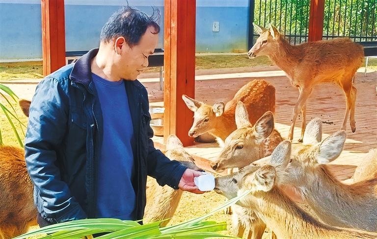 高质量发展产业调研】林下生金mg不朽情缘
